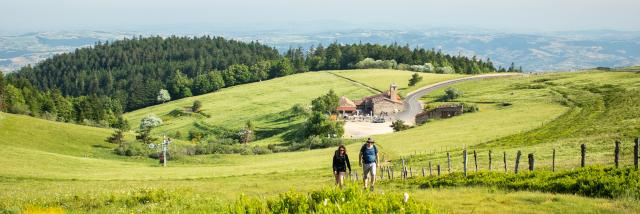 P Cret De La Perdrix©adt42 D.masson (7) Min