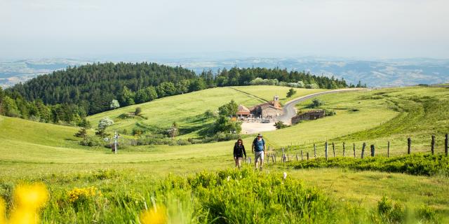 P Cret De La Perdrix©adt42 D.masson (7) Min