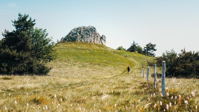 17. La Grande Pierre Bazanne.1©loire Tourisme (2)