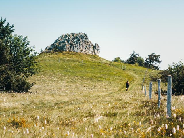 17. La Grande Pierre Bazanne.1©loire Tourisme (2)