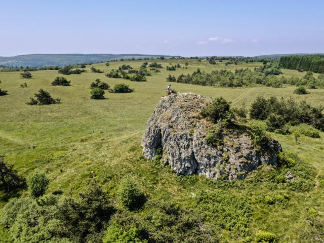 17. La Grande Pierre Bazanne4©loire Tourisme (2)