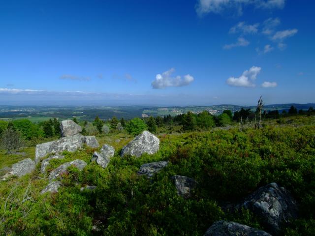 P Chaussitre Environs ©adt42 Gil Lebois (85)