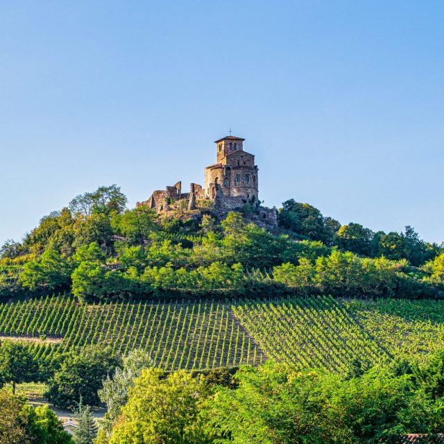 F St Romain Le Puy©juan Sanchez (8) (1) (1)