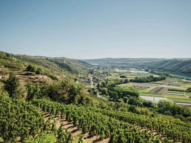 Shooting Vignobles Tupins Et Semons 08 2022 © Vienne Condrieu Tourisme 2 Min