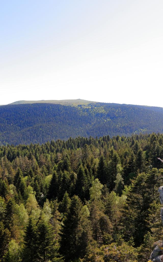 F Chalmazel Rocher De L Olme©johan Méallier (6)