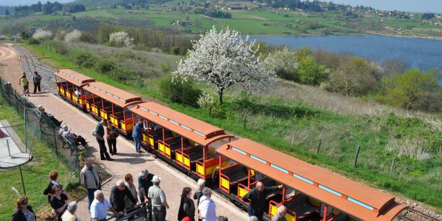 Train Touristique6