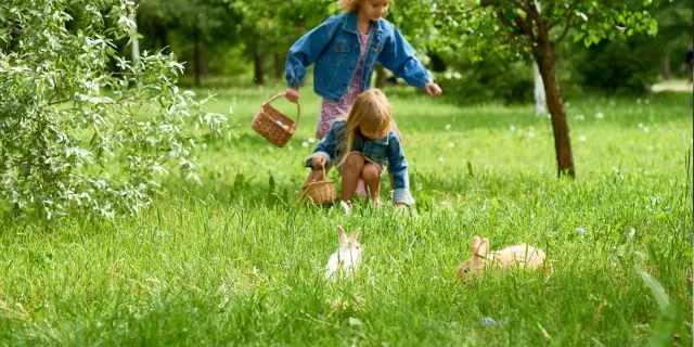 Paques Dans La Loire Chasse Aux Oeufs