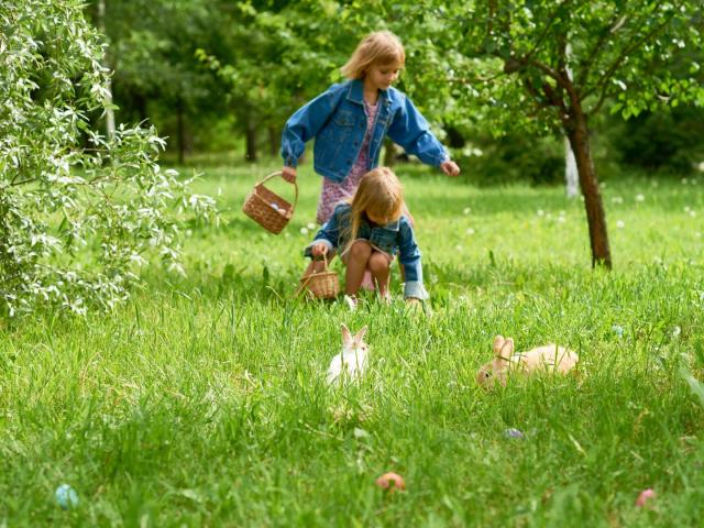 Paques Dans La Loire Chasse Aux Oeufs